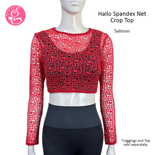 Hallo Spandex Net Crop Top