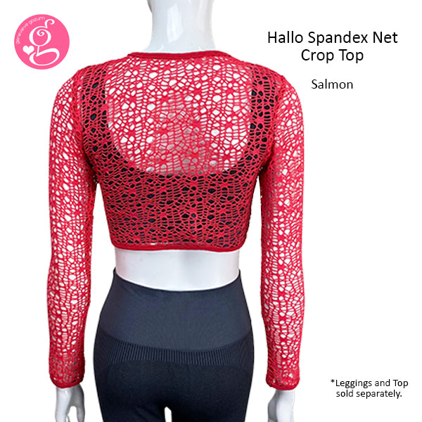 Hallo Spandex Net Crop Top