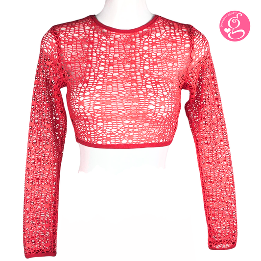 Genevieve Gozum Hollow Net Long Sleeve Crop Top