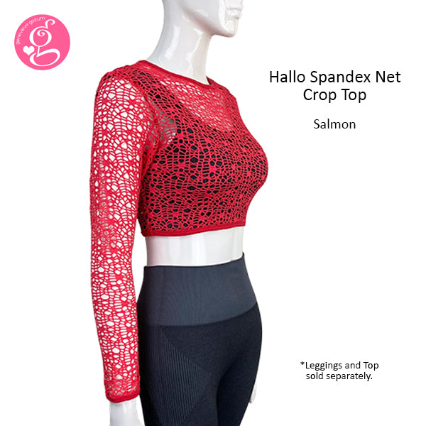 Hallo Spandex Net Crop Top